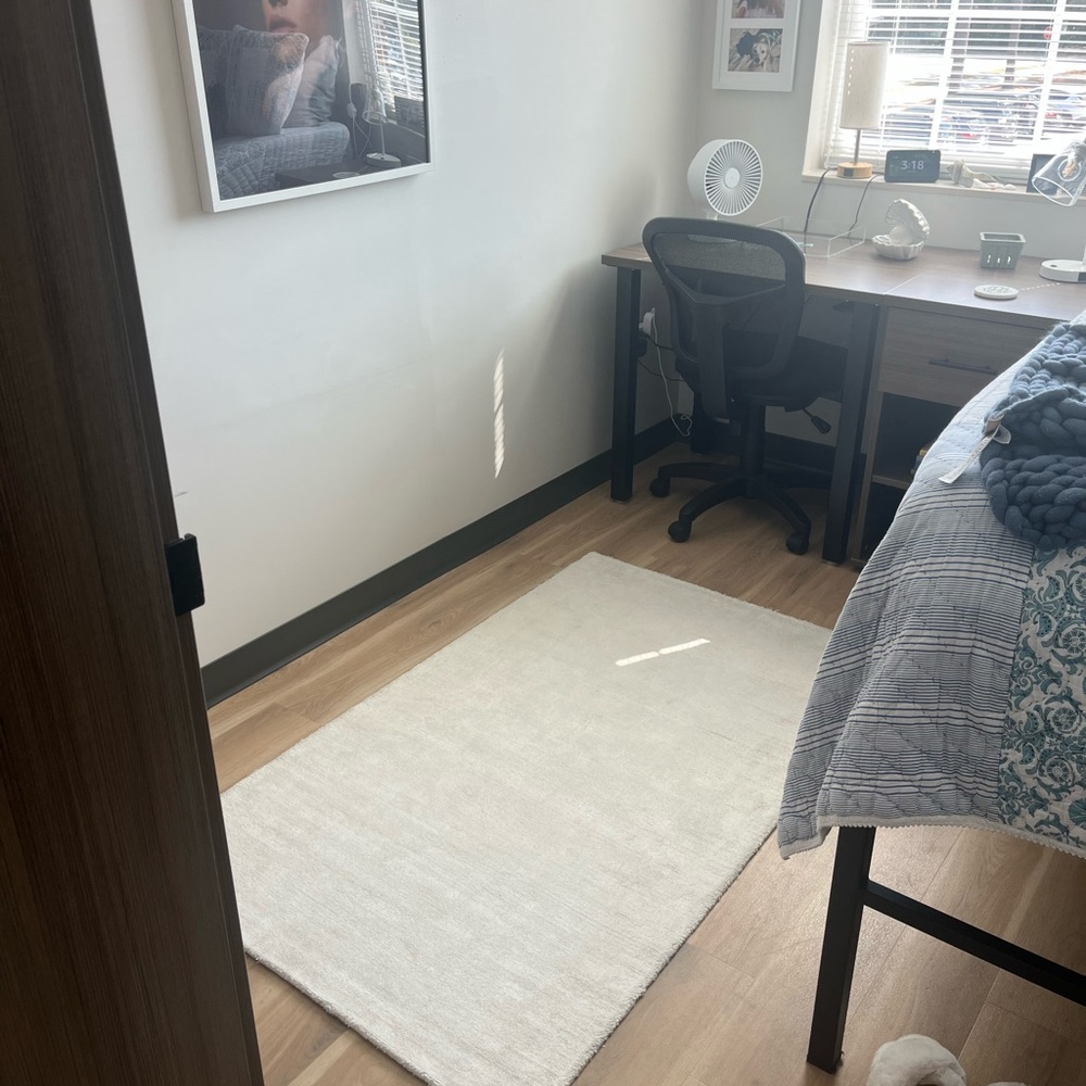 POTTERY BARN RUG 3x5 org $159 CREAM